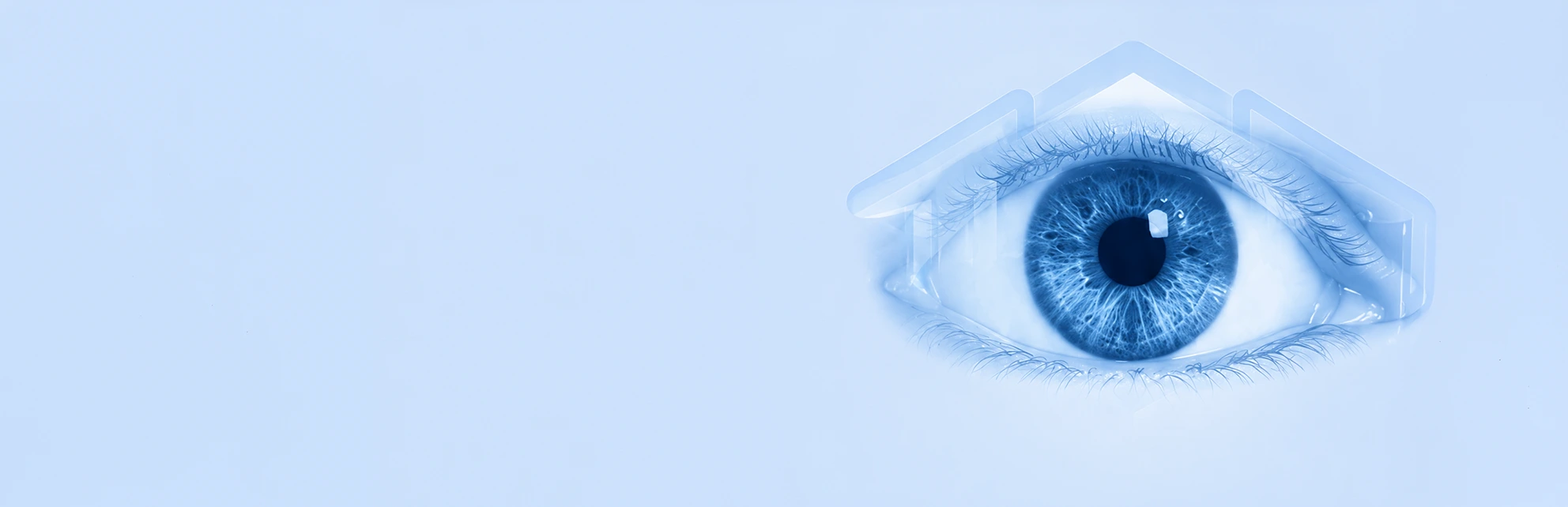 Your Vision Our Priority